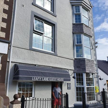 Leafy Lane Guesthouse 앰루크 외부 사진
